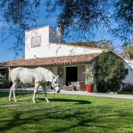 Hotel Mas Des Barres