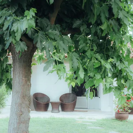 Mas Des Barres Hotel 3*